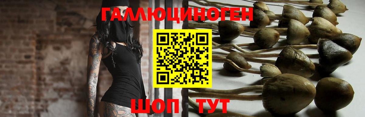 Псилоцибиновые грибы мицелий  Вход с VPN  Галлюциногенные грибы ЛСД  Кудрово 
